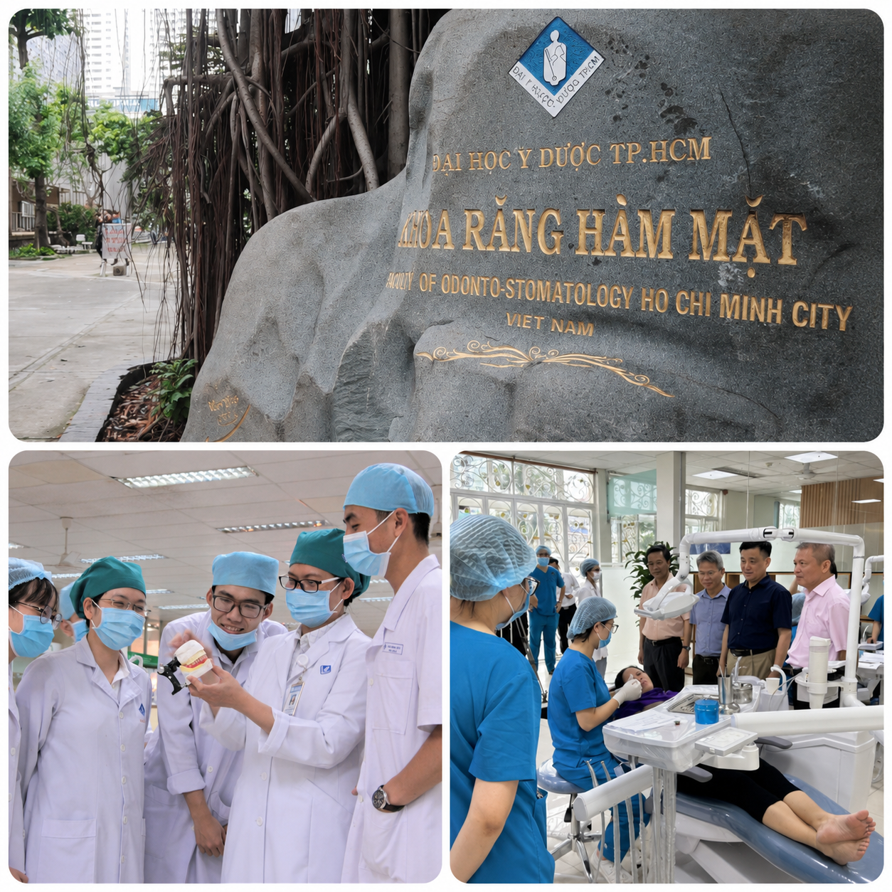 Khoa Răng Hàm Mặt – Đại học Y Dược TPHCM