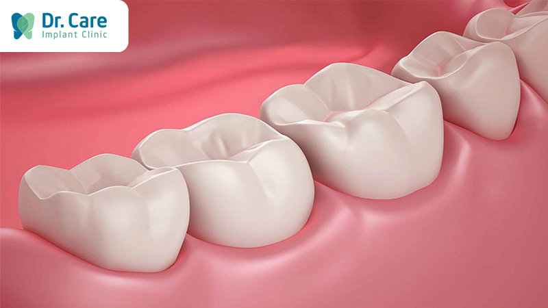 Răng hàm ở trị trí nào?