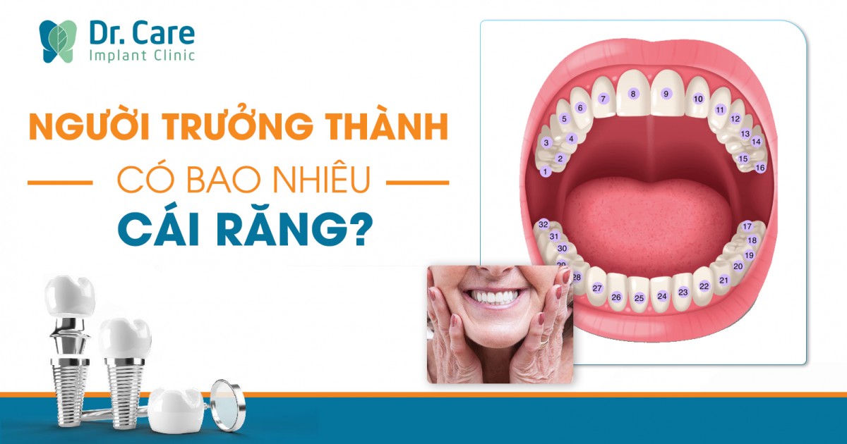 Người trưởng thành có bao nhiêu cái răng? | Dr. Care